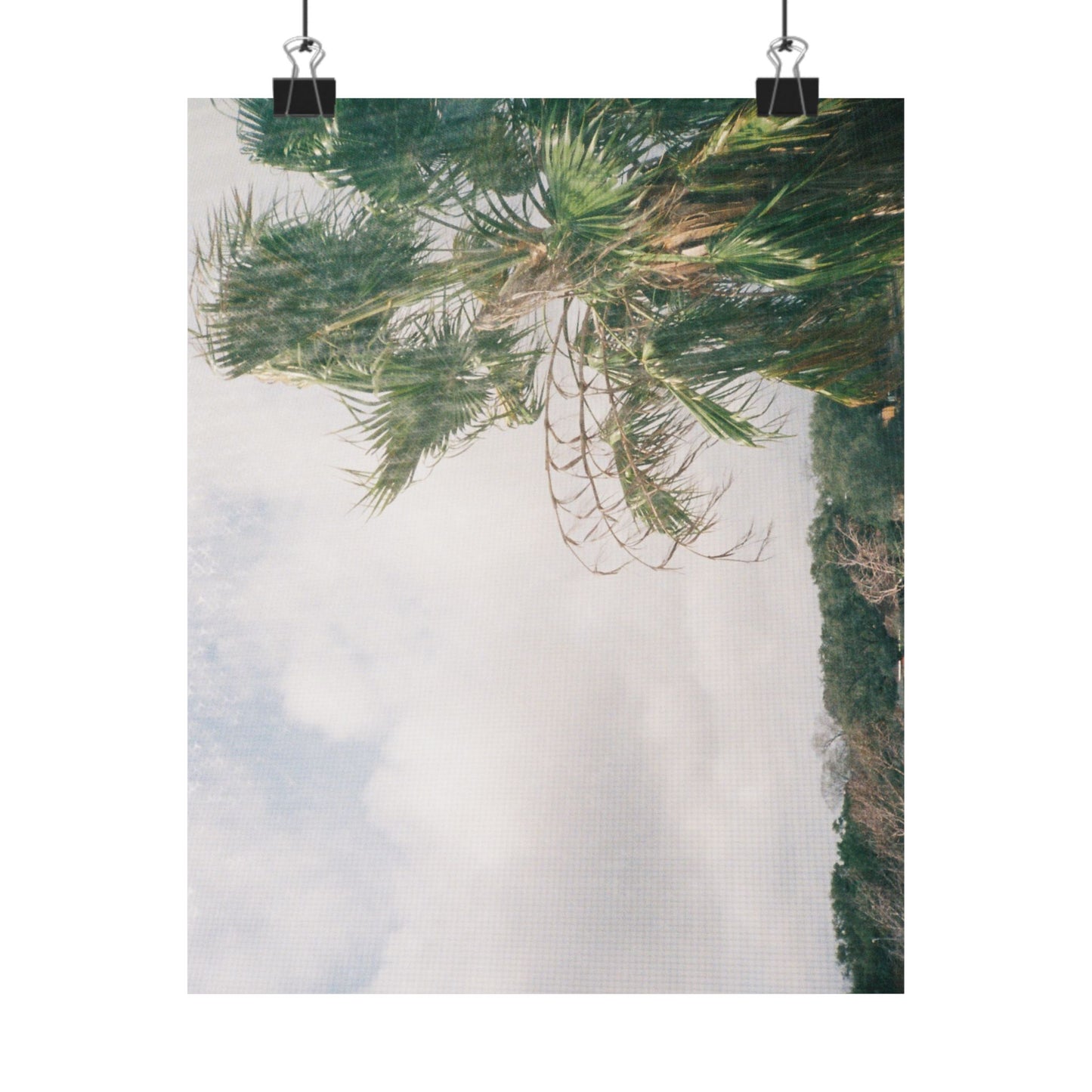 Vertical Matte Poster — Tropical Palm Landscape Wall Art